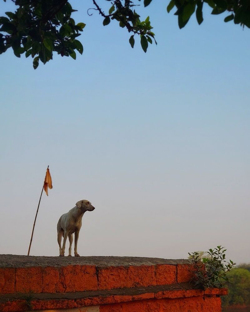 Photograph by Abhishek Bhosale