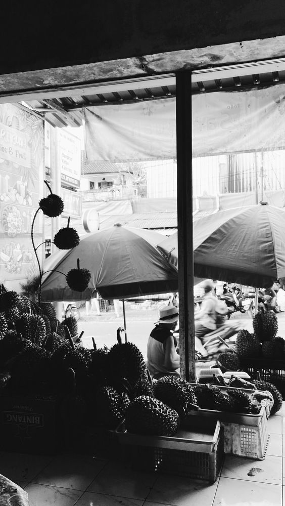 Фотография автора Ксения Шамсудинова