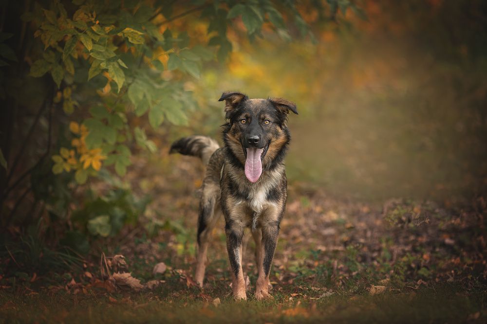 Photograph by Елена Самусенкова