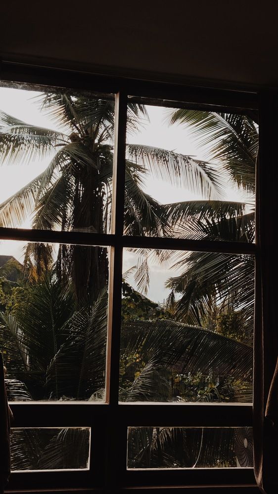 Фотография автора Ксения Шамсудинова