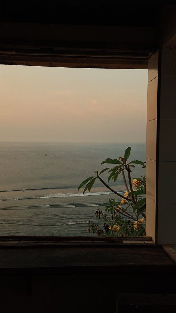 Фотография автора Ксения Шамсудинова