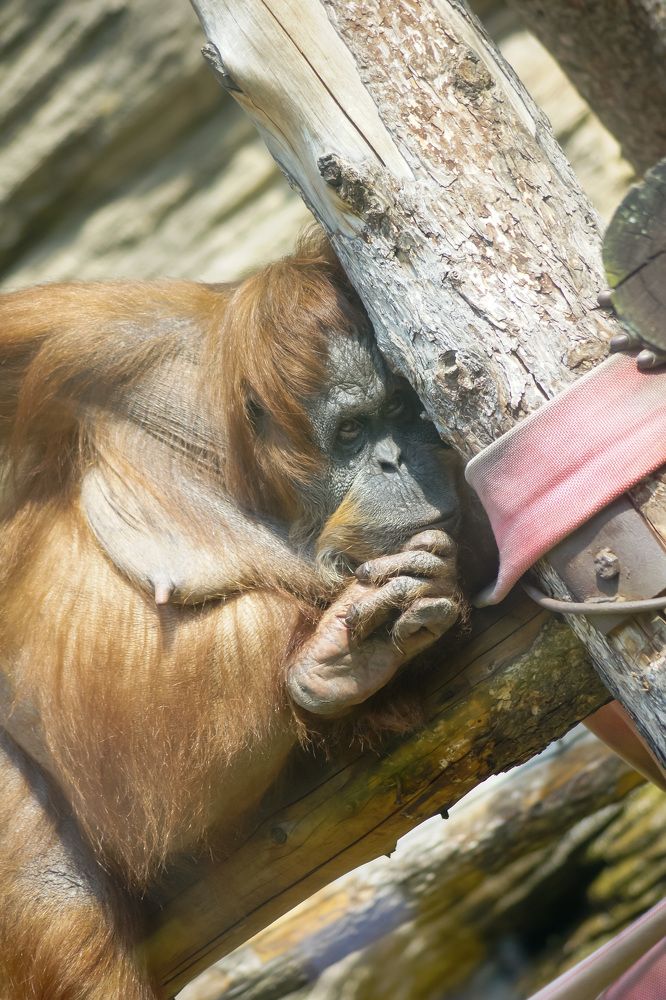 Photograph by Юрий