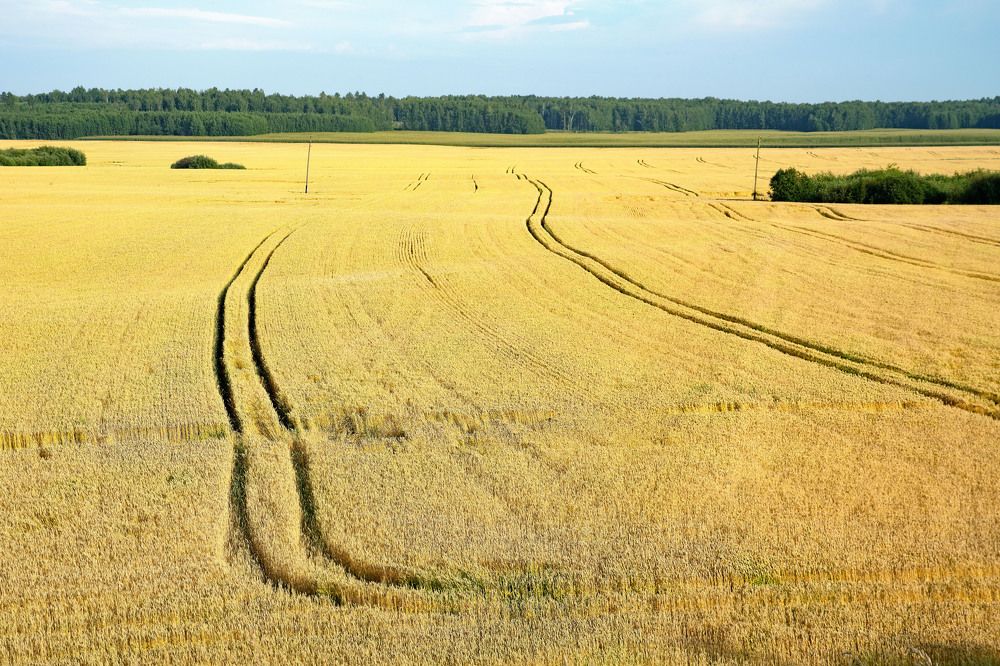 Photograph by Сергей Табатчиков