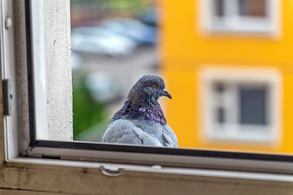 Photograph by Валерий Клейменов