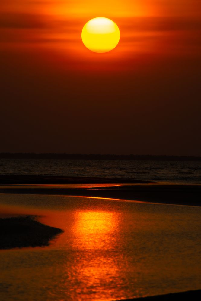 Photograph by Bondhu Dey