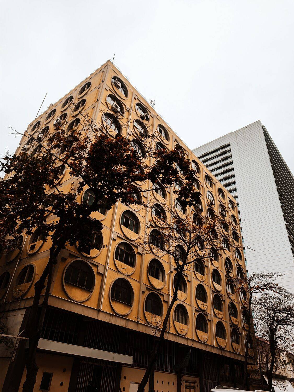 Photo #11196674