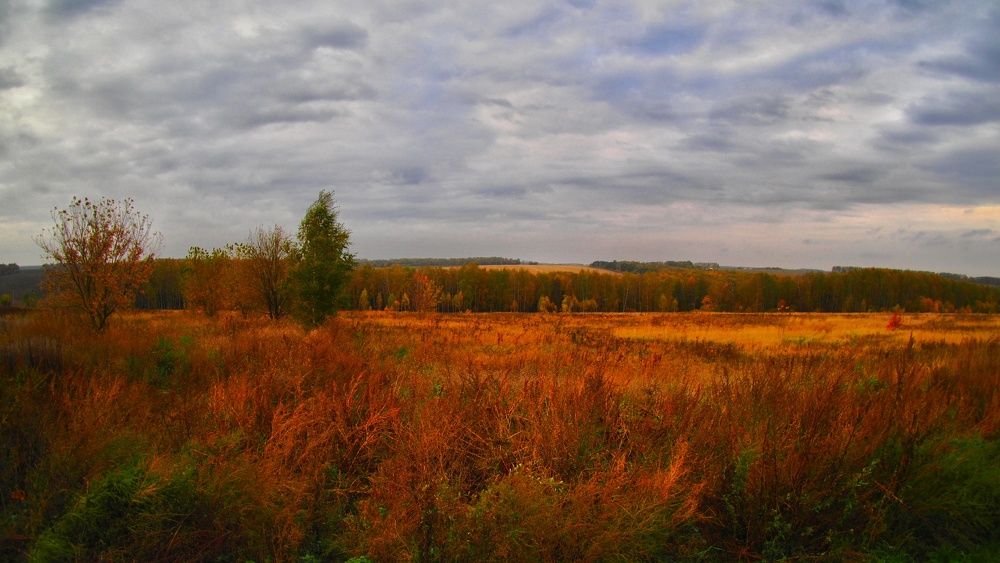 Photograph by Дмитрий Потапов