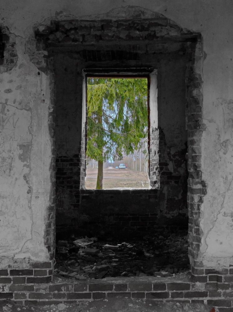 Photograph by Юрий Сычев