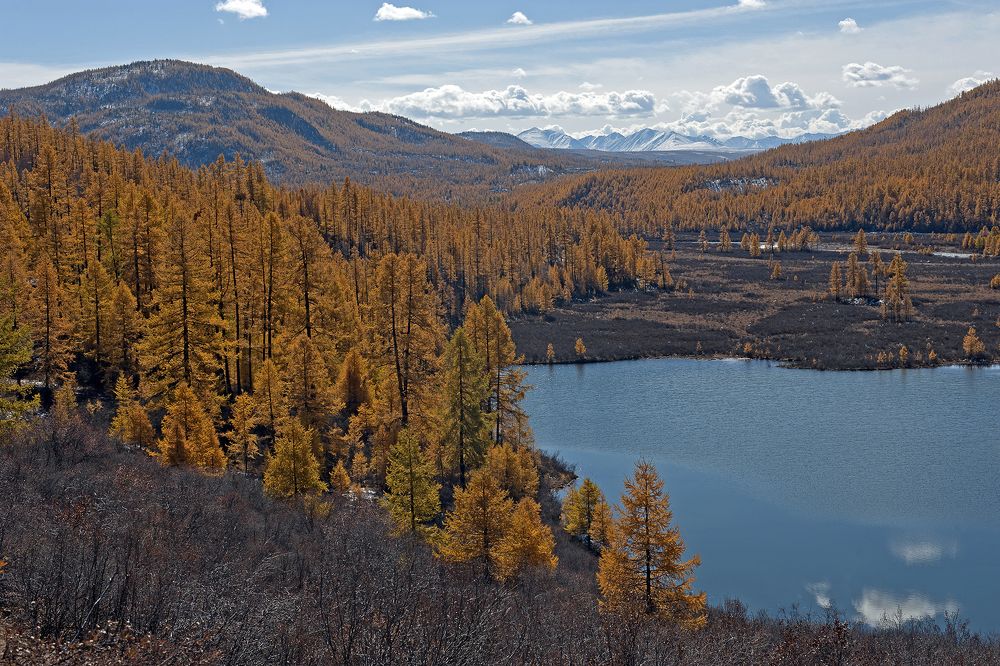 Тихий осенний день
