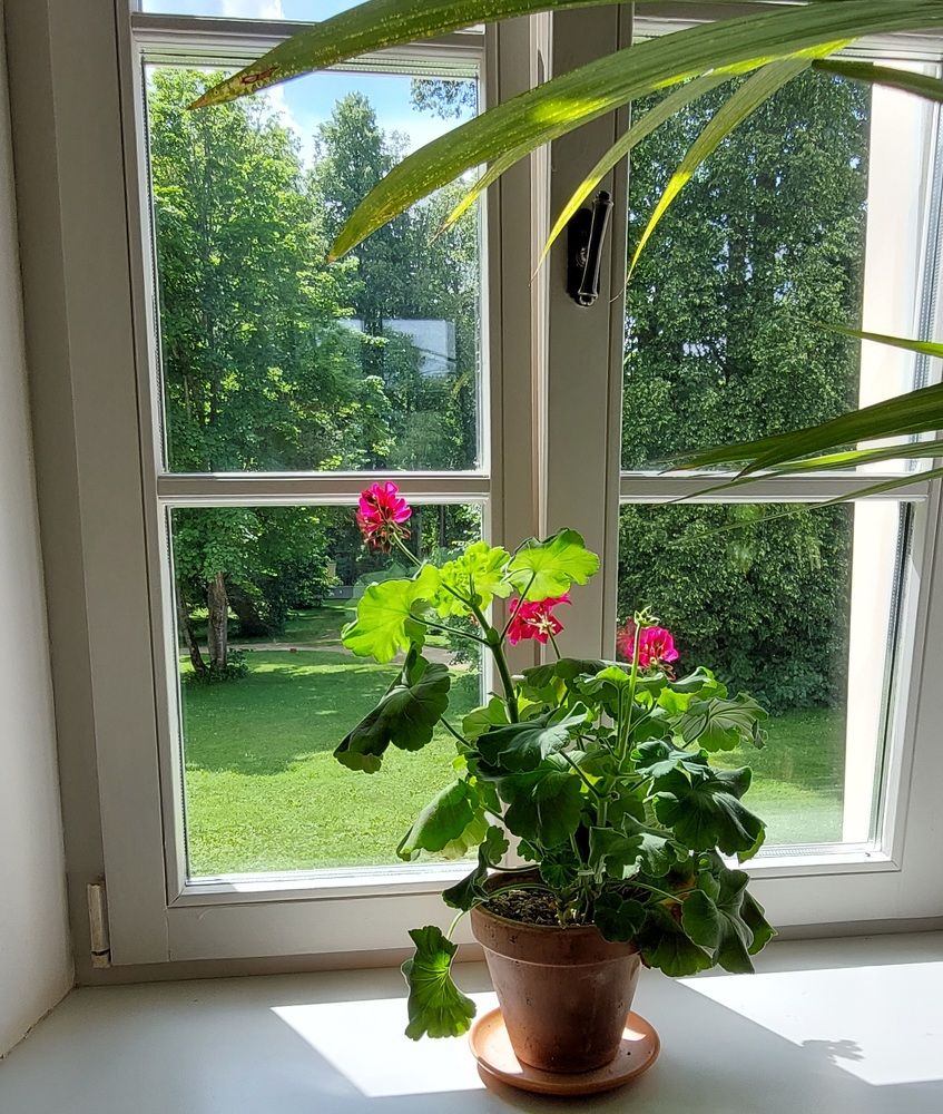 Photograph by Галина Маркова