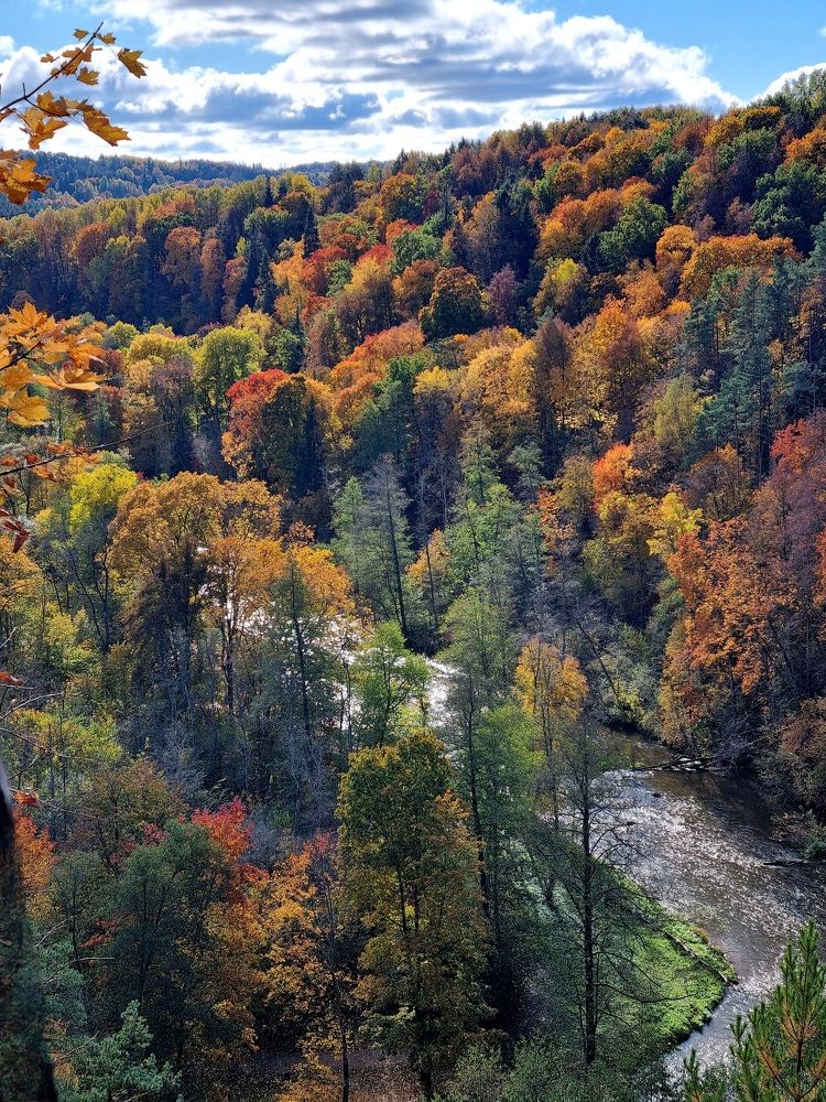 Photograph by Elena Tamošauskaite