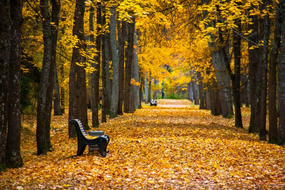 Photograph by Анастасия Перминова