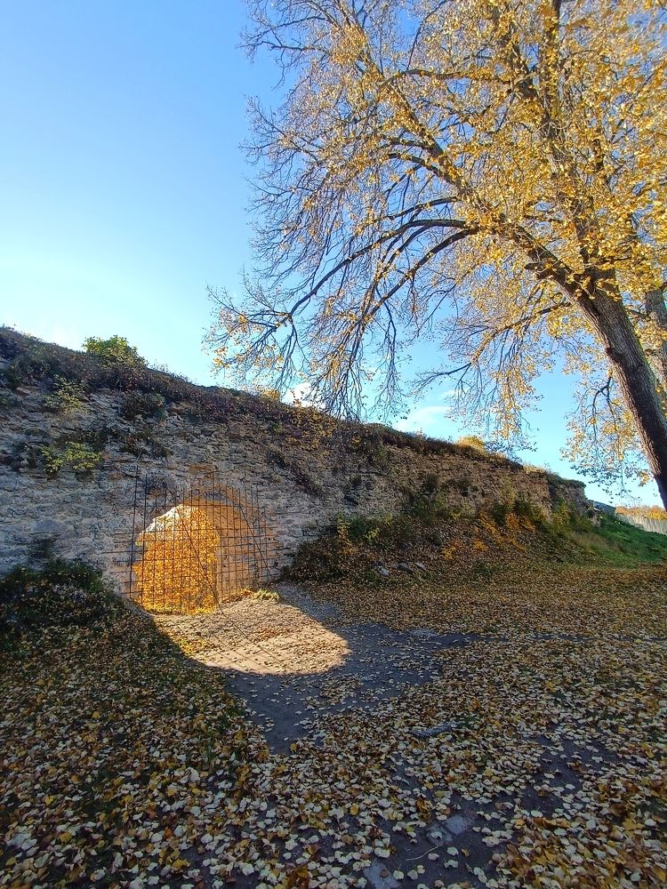 Photograph by Olga Kot