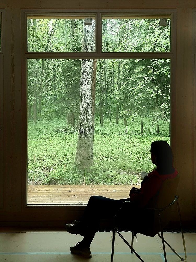 Photograph by Асад Ибадов