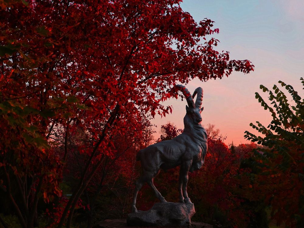 Photograph by Серёга Ануфриев