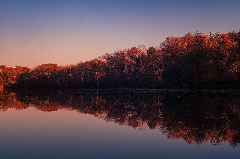 Photograph by Алеся Вершинина