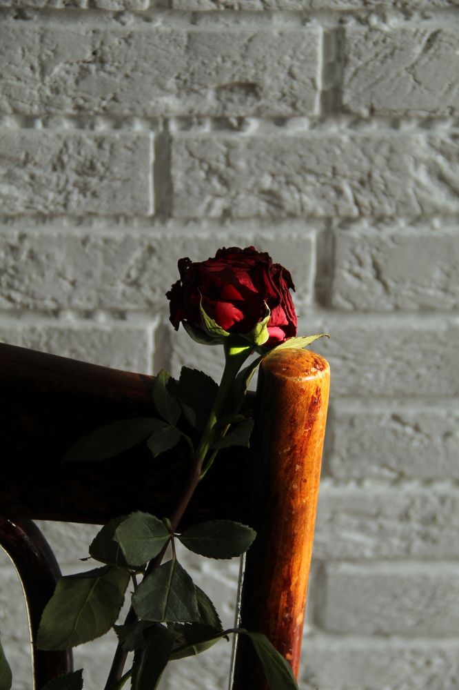 Photograph by Хайбуллина Флора