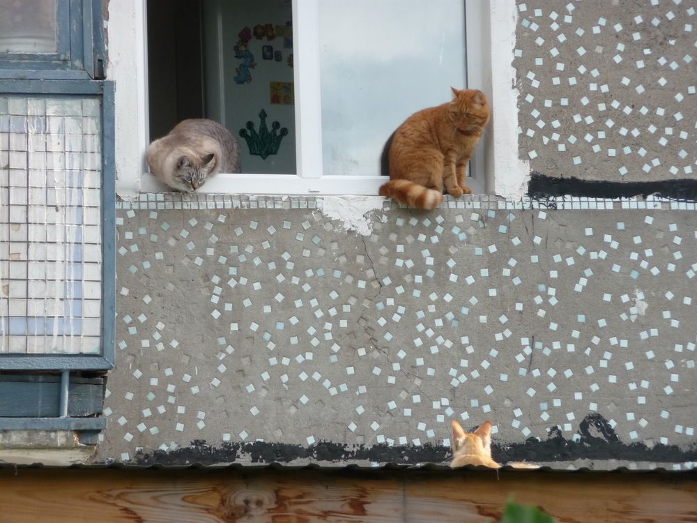 Фотография автора Клавдия Васильева