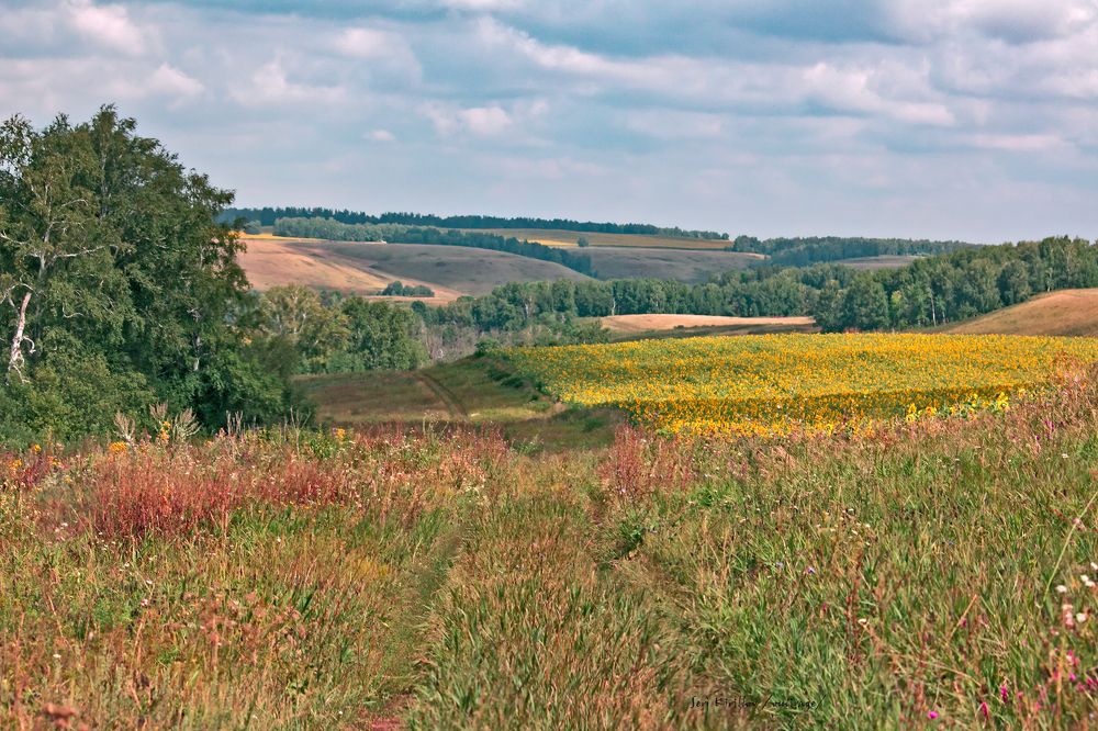 Photograph by Сергей Кириллов