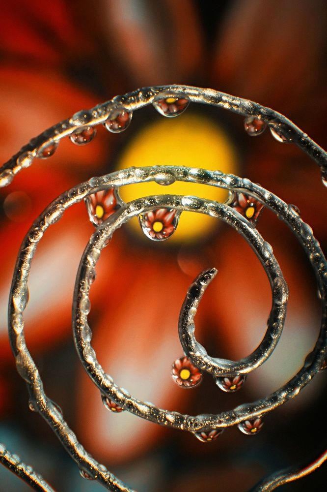 Photograph by Татьяна Максакова