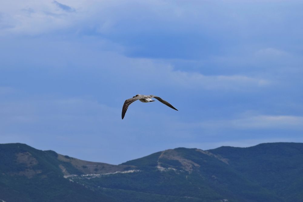 Photograph by Евгений Коваленко