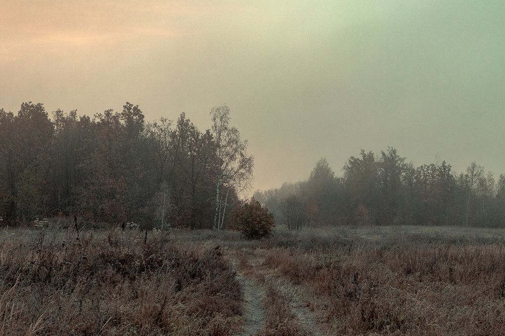 Photograph by Светлана Бохан
