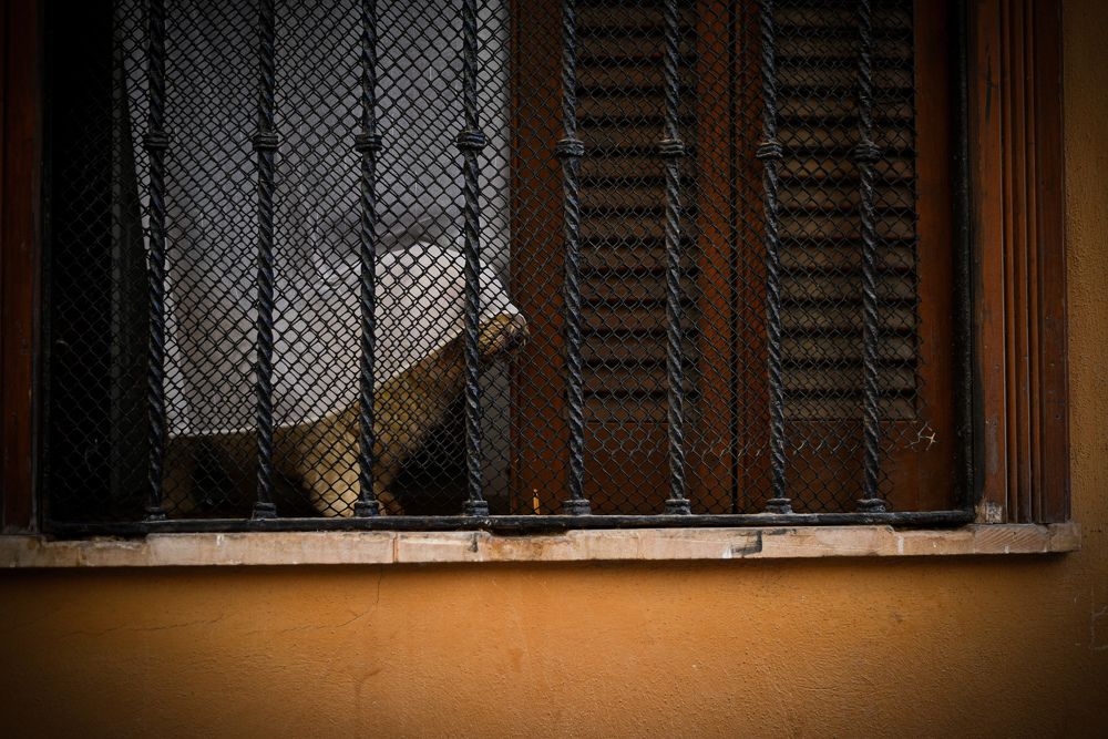 Photograph by Ljudmilla Pavljutsenkova