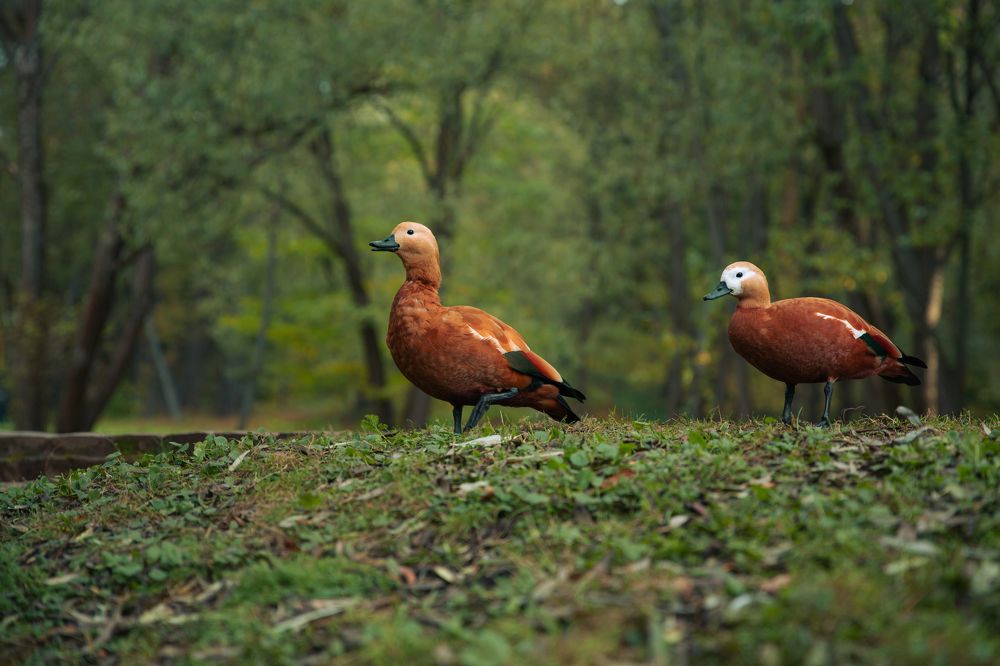 Photograph by Анна Ткаченко