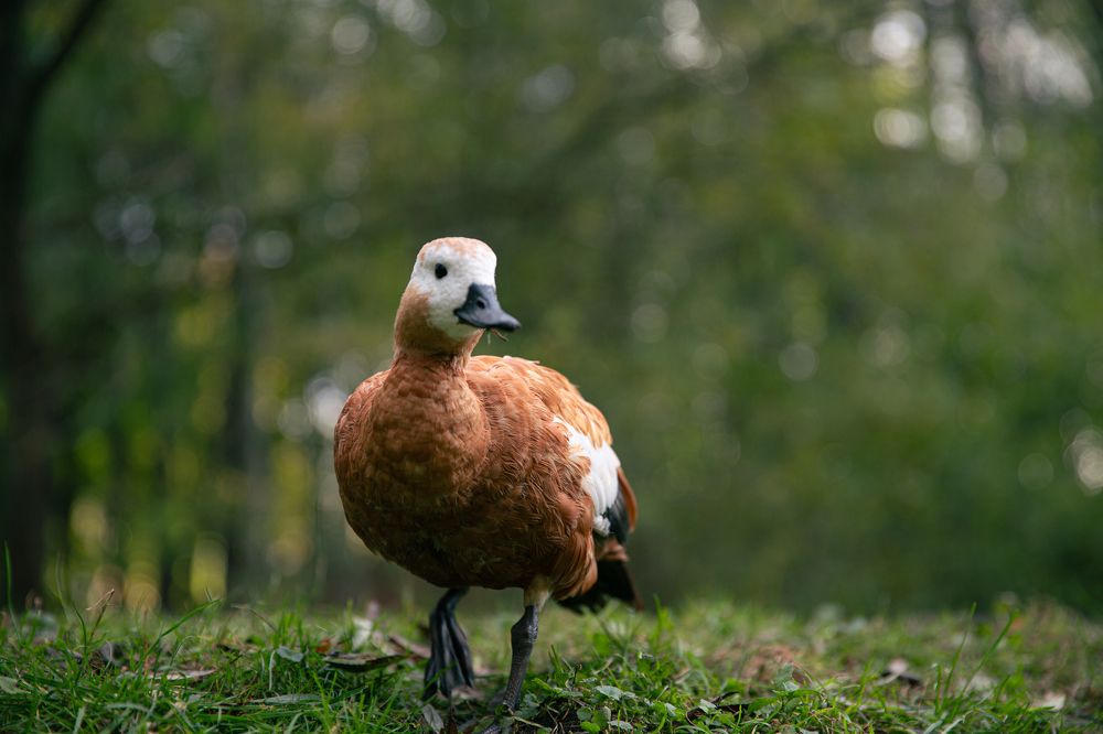 Photograph by Анна Ткаченко