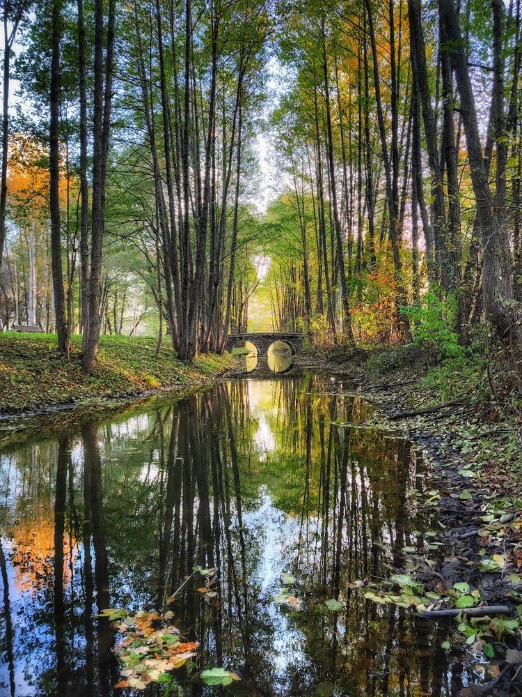 Photograph by Владимир Шаруба