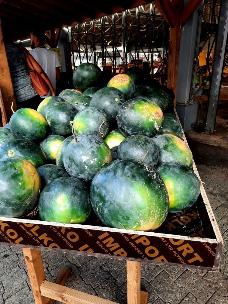 Photograph by Sonia Crotta