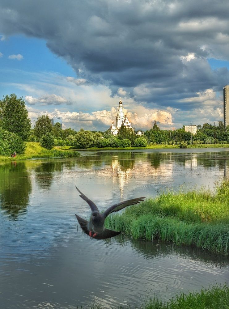 Photograph by Владимир Шаруба