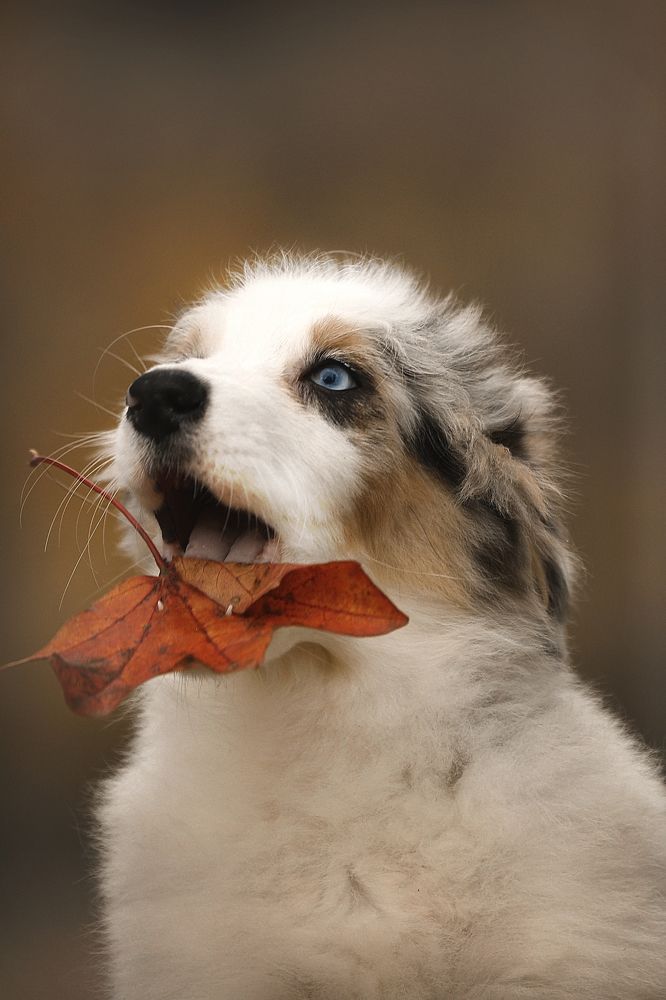 Photograph by Кристина Невлер