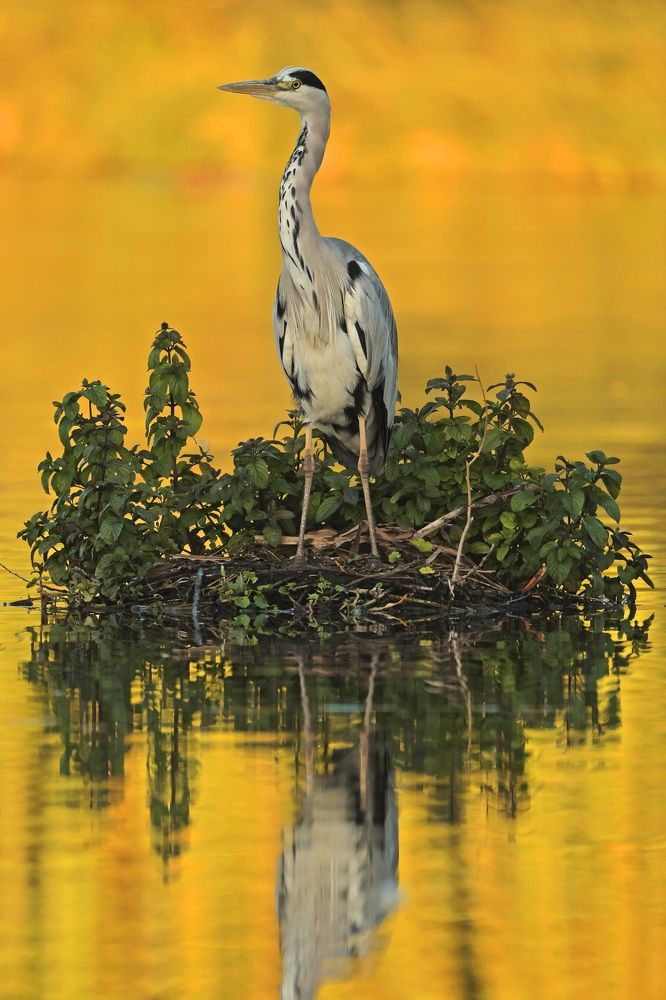 Photograph by Dimitar Nedelchev