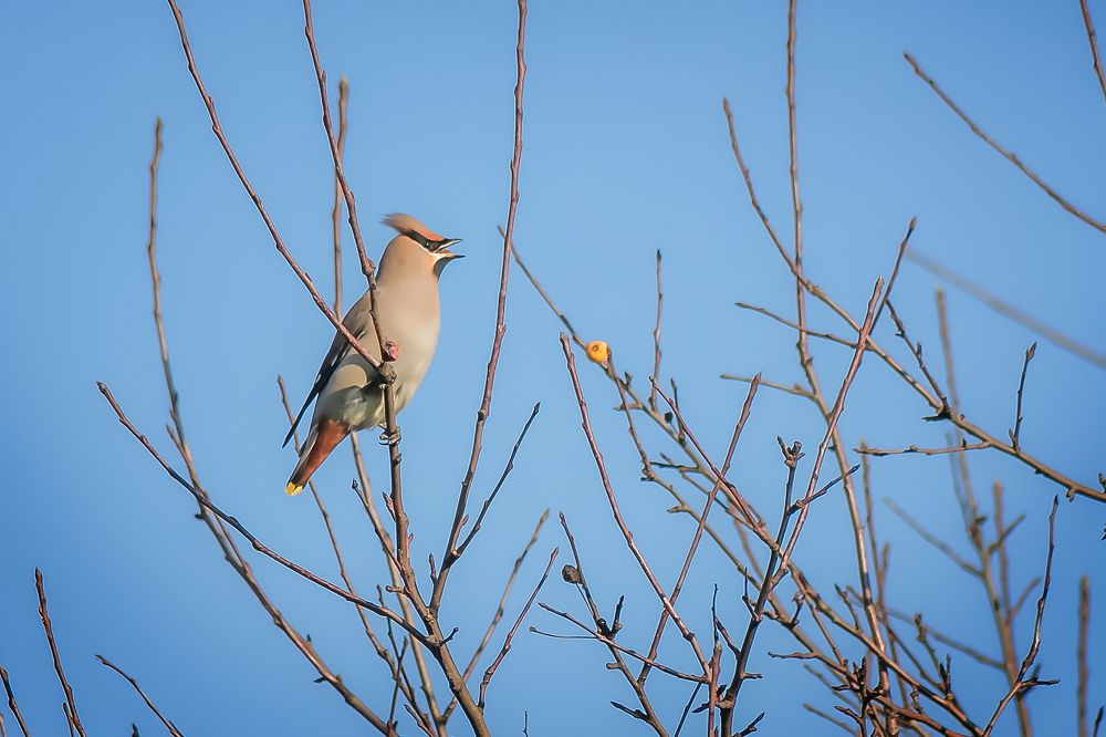 Photograph by Алексей Трифонов