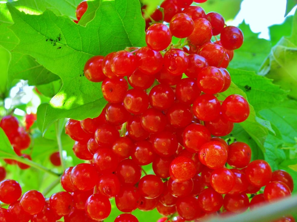 Photograph by Виктор Карпухин