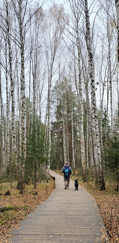 Photograph by Эльвира