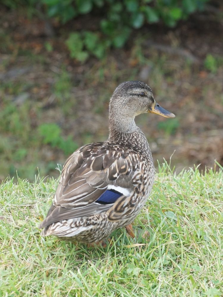 Photograph by Вадим Богатиков