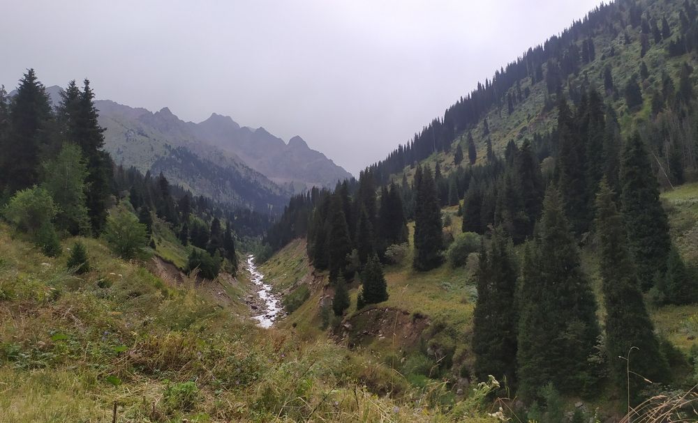 Photograph by Анна