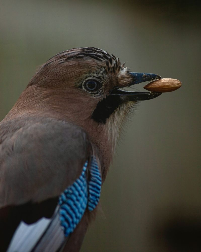 Фотография автора Galina Sa