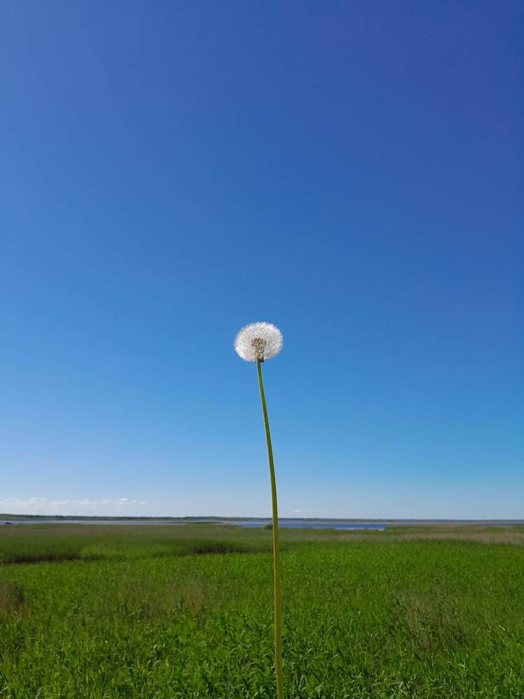 Photograph by Виталий