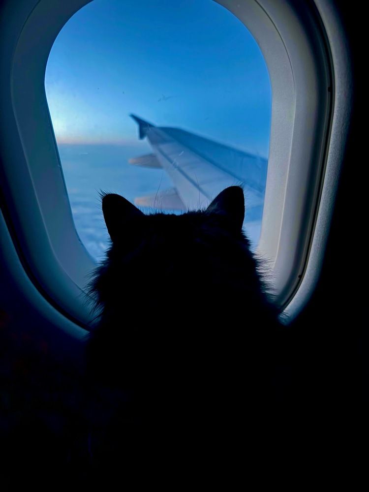 Photograph by Ксения Гулькова