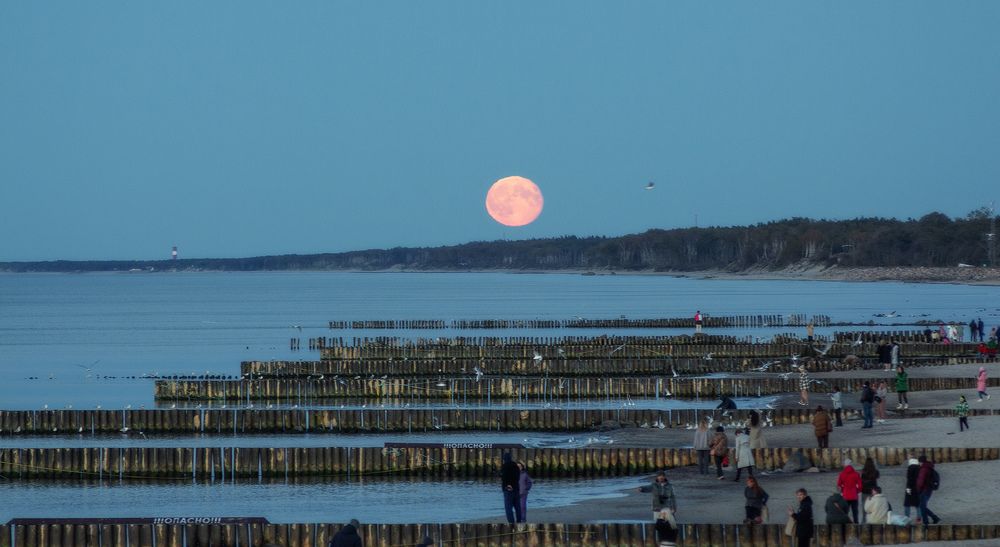 Photograph by Павел Дунюшкин