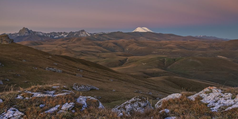 В розовых тонах