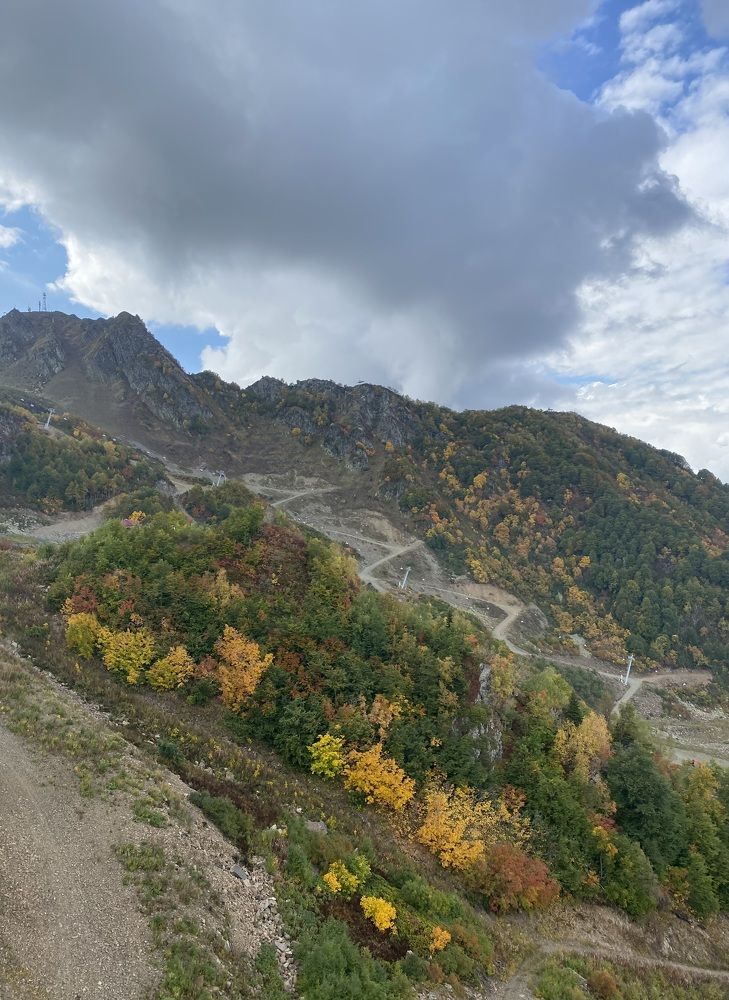 Photograph by Алиса Лукина