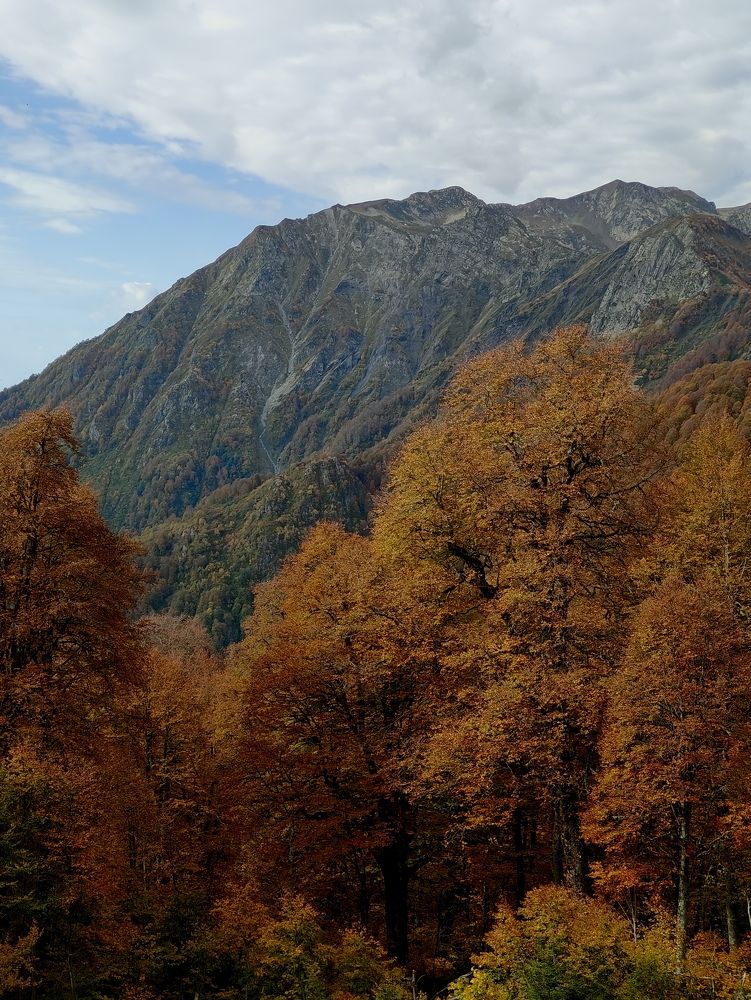 Осенний пейзаж гор