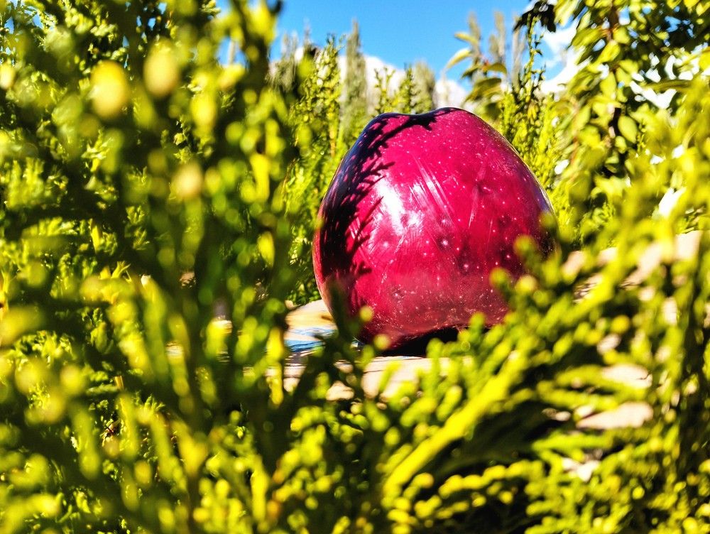 Photograph by Ishaq Karim