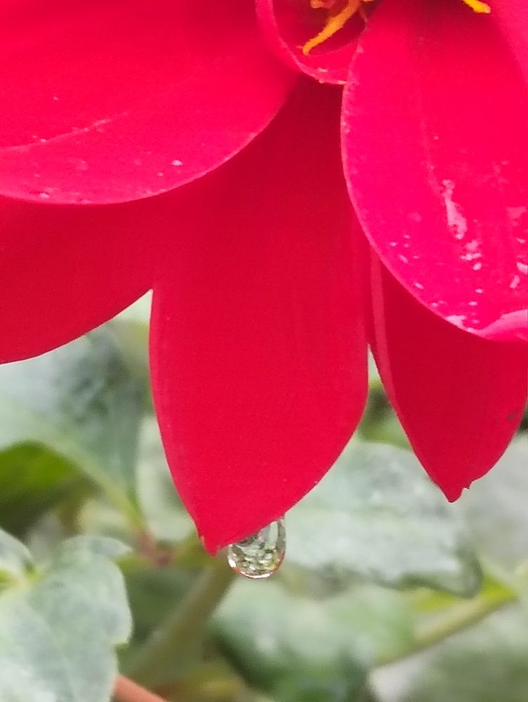 Photograph by Ishaq Karim