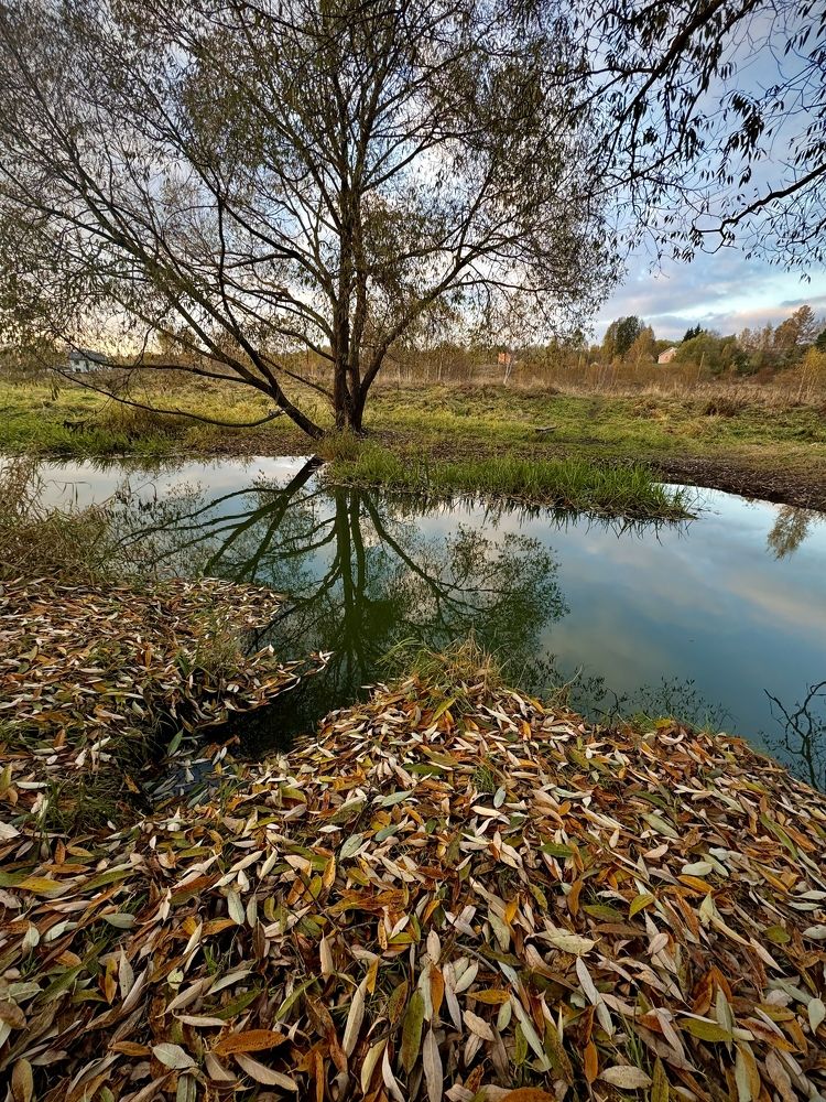 Фотография автора Evgeniya Ivanova