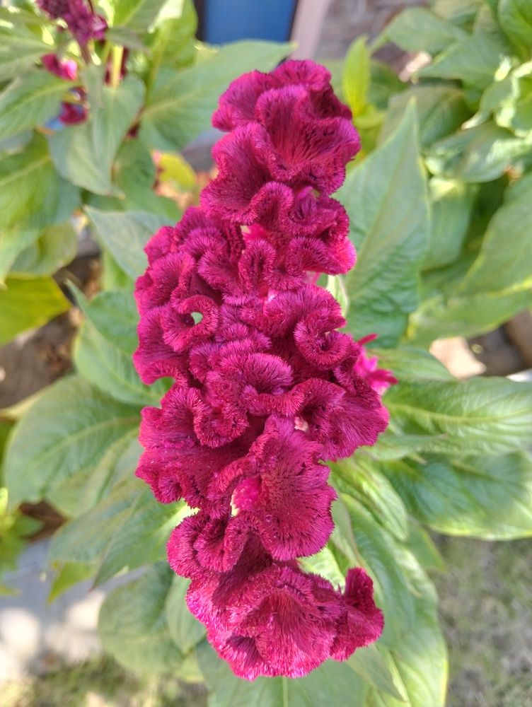 Photograph by Ishaq Karim